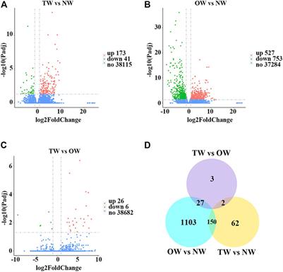 RNA Sequencing Reveals Phenylpropanoid Biosynthesis Genes and Transcription Factors for Hevea brasiliensis Reaction Wood Formation